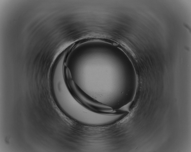 X0000092280981200710041407