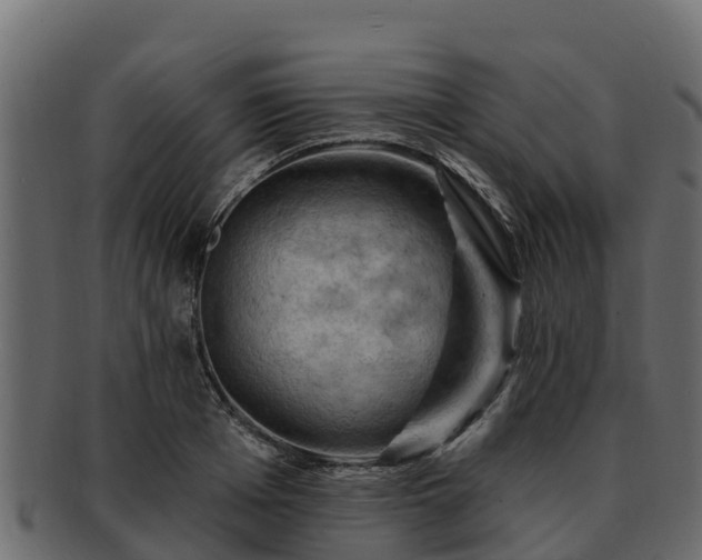 X0000092280985200710041407