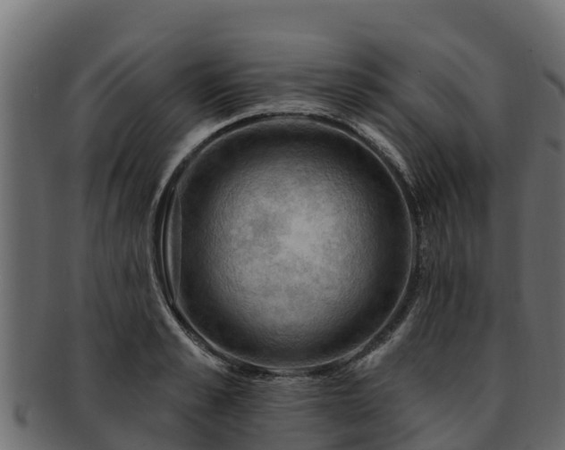 X0000092280989200710041407