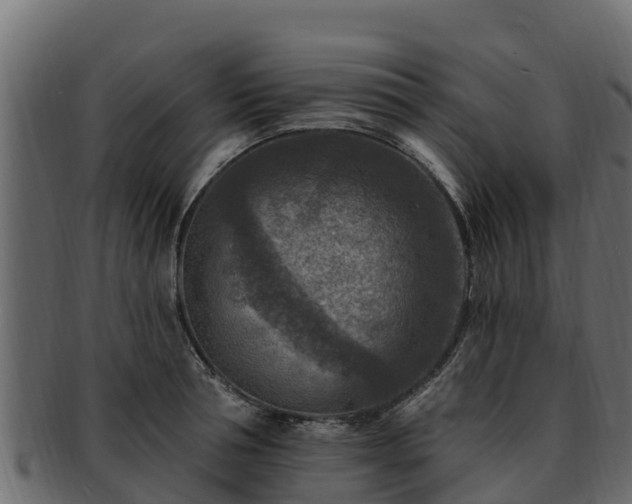 X0000092280994200710041407