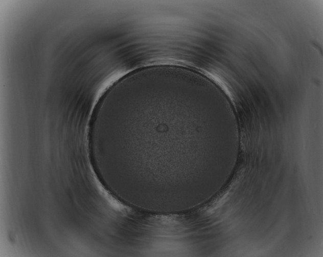 X0000092280995200710041407