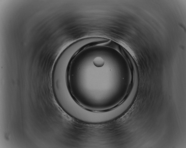 X0000092280996200710041407