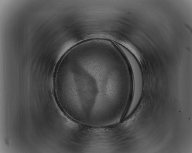 X0000092280999200710041407