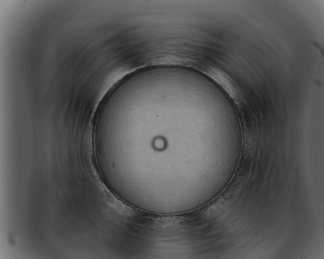 X0000092281000200710041407