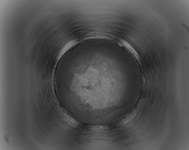 X0000092281002200710041407