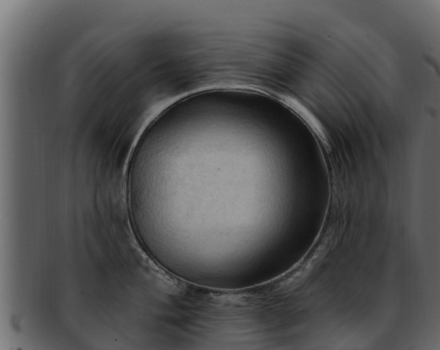 X0000092281004200710041407