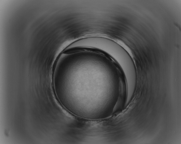 X0000092281005200710041407