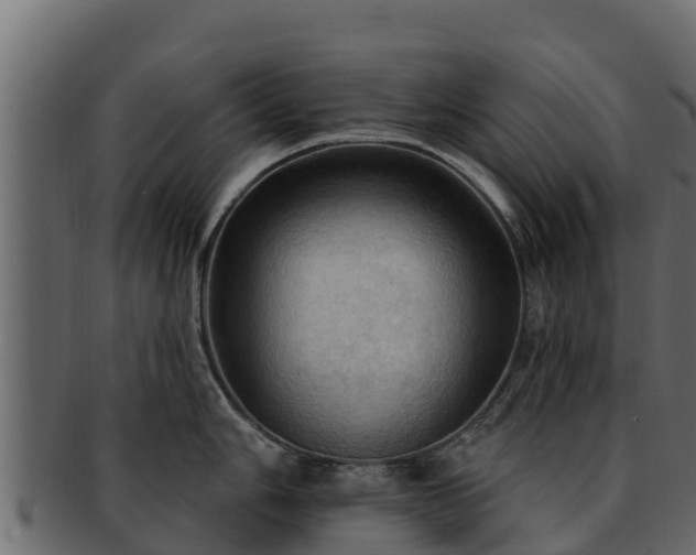 X0000092281006200710041407