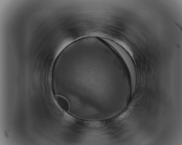 X0000092281007200710041407