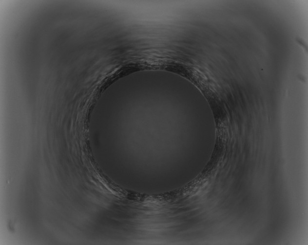 X0000092281009200710041407