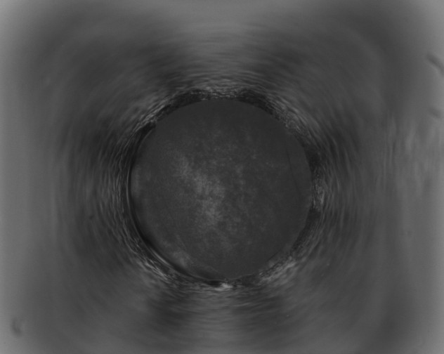 X0000092281010200710041407