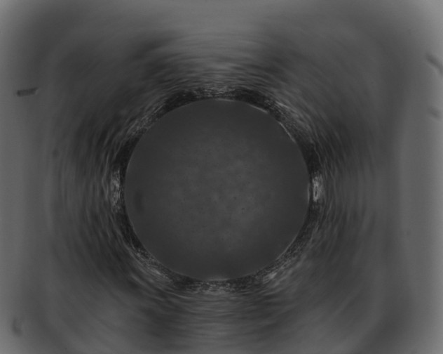 X0000092281011200710041407