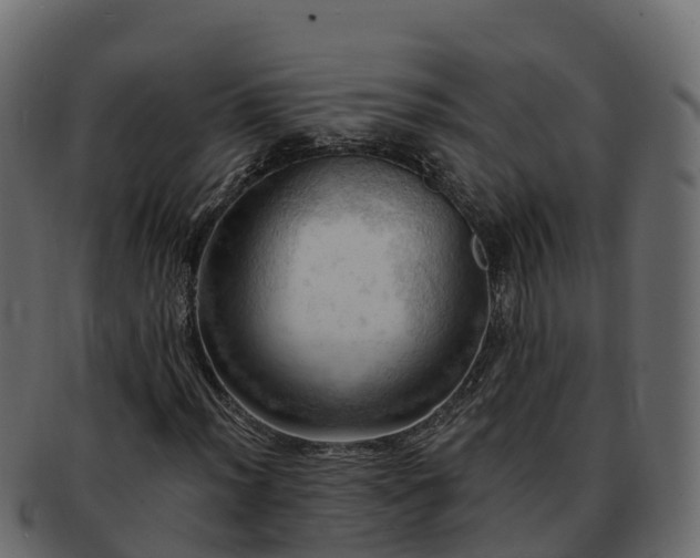 X0000092281012200710041407