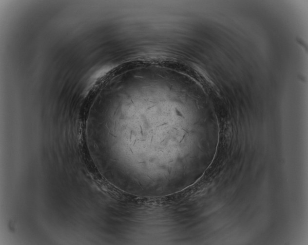 X0000092281016200710041407