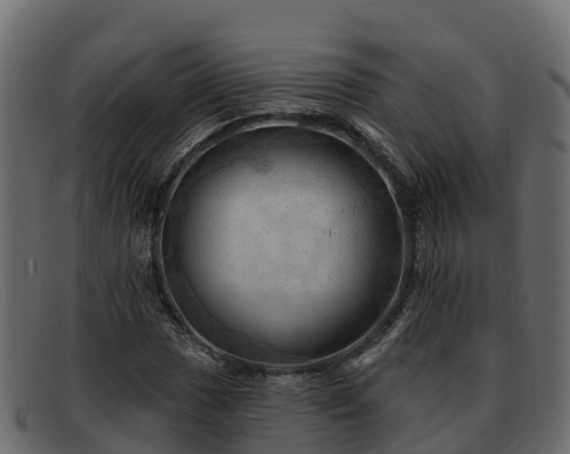 X0000092281017200710041407