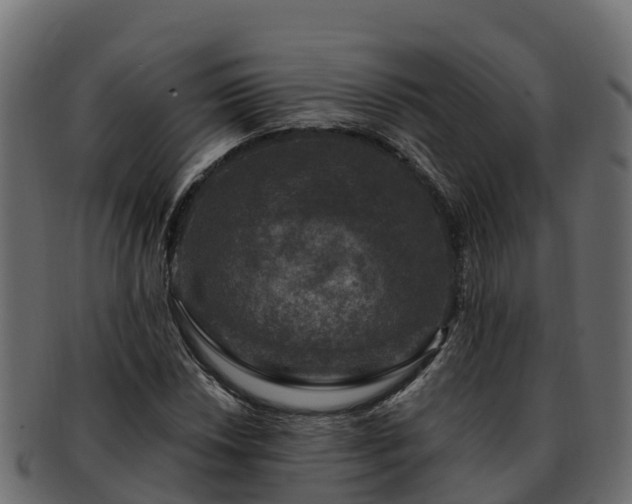 X0000092281018200710041407