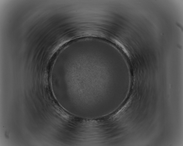 X0000092281019200710041407