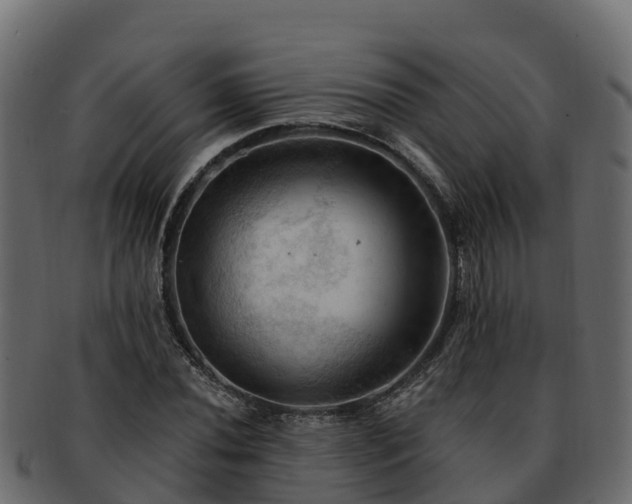 X0000092281020200710041407