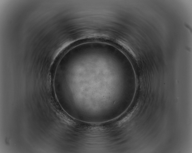 X0000092281021200710041407