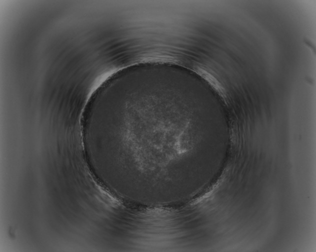 X0000092281022200710041407