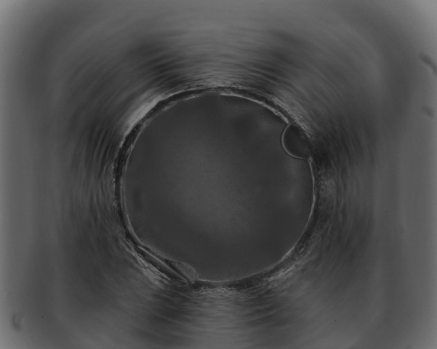 X0000092281023200710041407