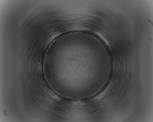 X0000092281025200710041407