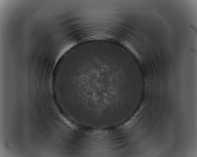 X0000092281026200710041407