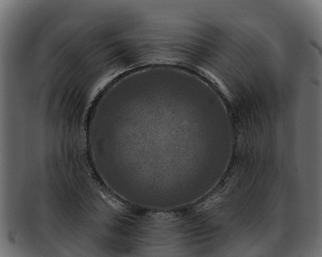 X0000092281027200710041407