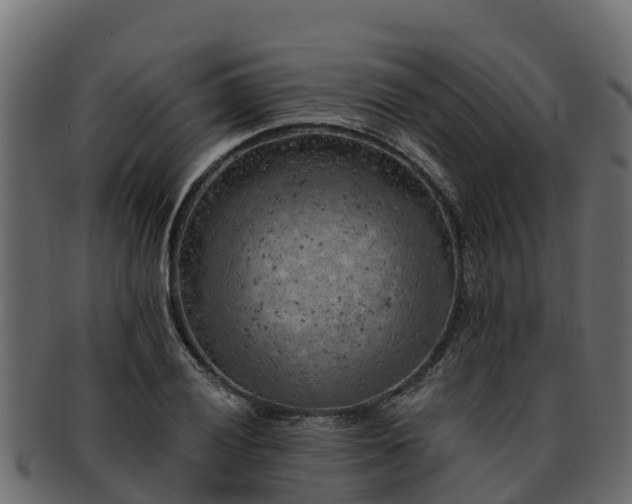 X0000092281028200710041407