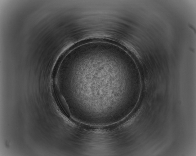 X0000092281029200710041407