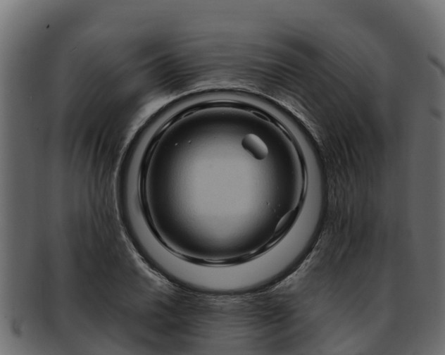 X0000092281030200710041407