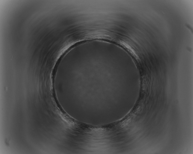 X0000092281031200710041407