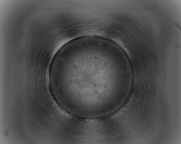 X0000092281032200710041407