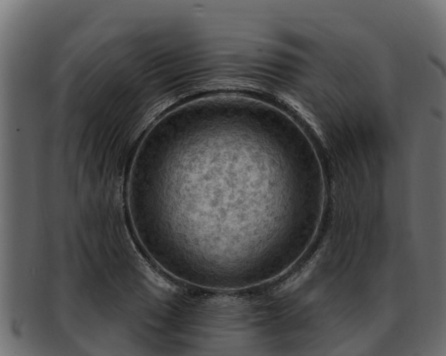 X0000092281033200710041407