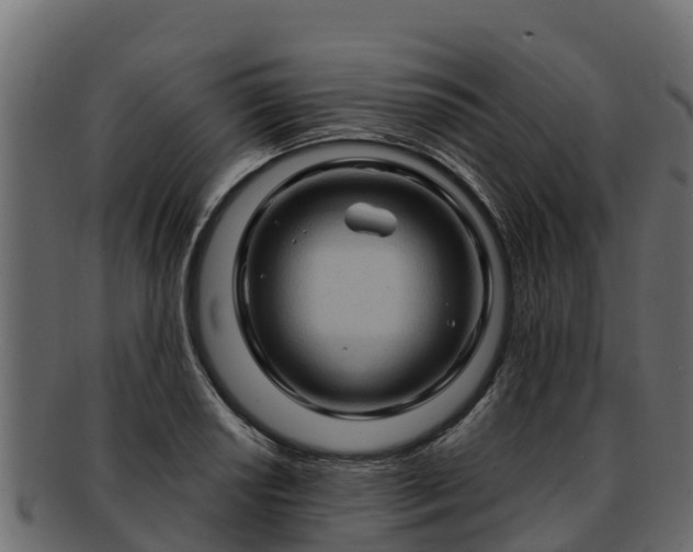 X0000092281034200710041407