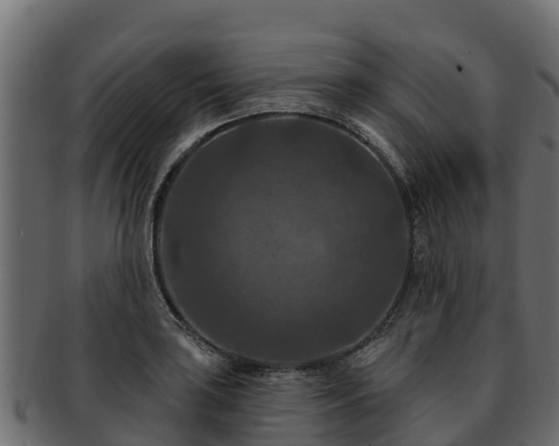 X0000092281035200710041407