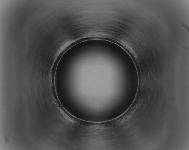 X0000092281037200710041407