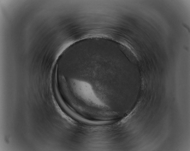 X0000092281038200710041407