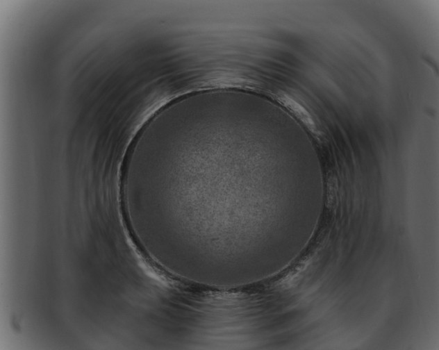 X0000092281039200710041407