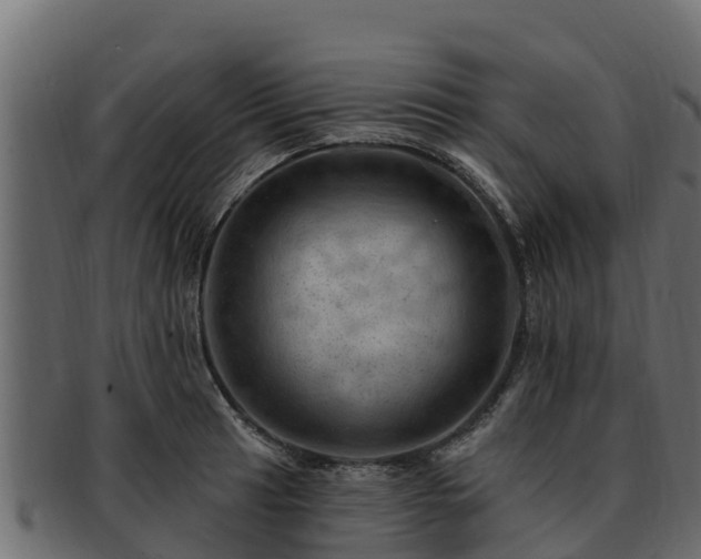 X0000092281041200710041407