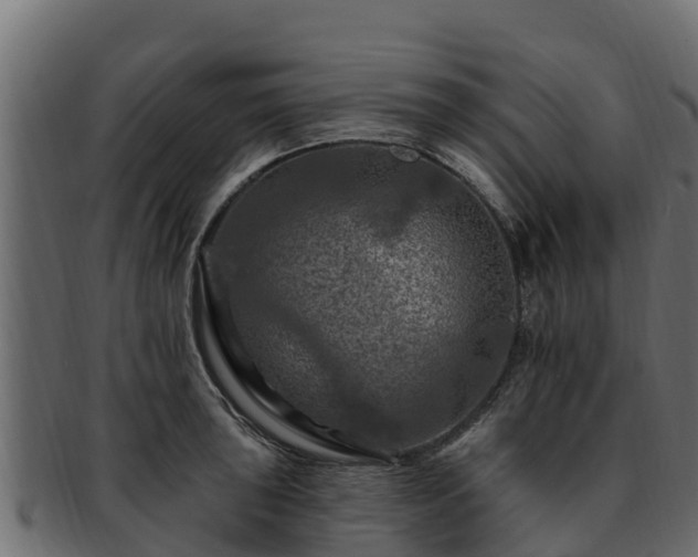 X0000092281043200710041407