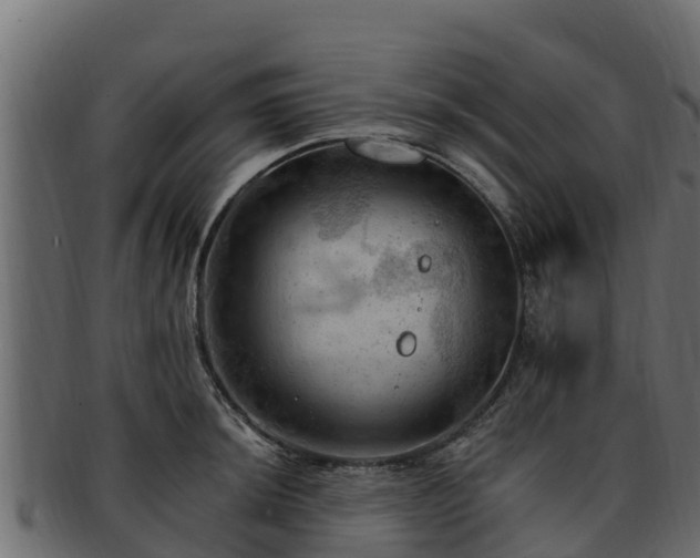 X0000092281044200710041407