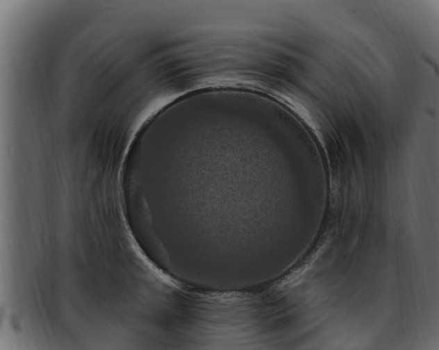 X0000092281045200710041407