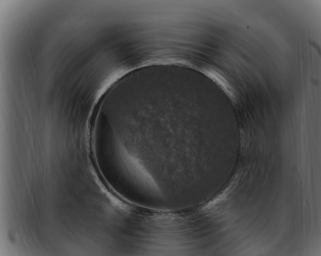 X0000092281046200710041407