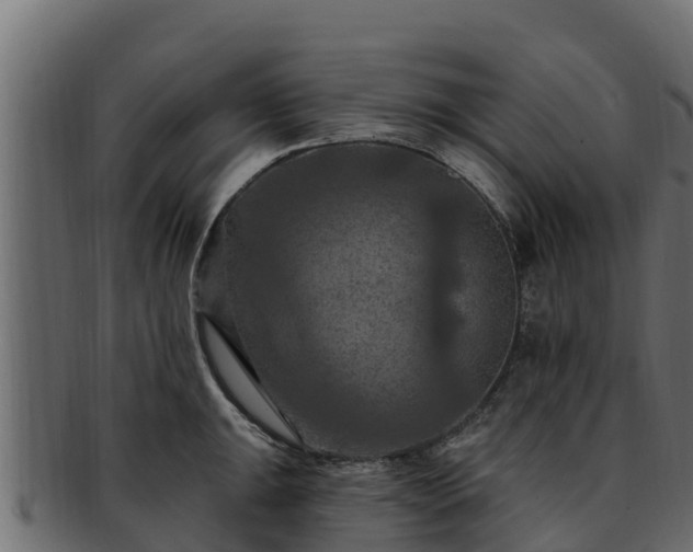 X0000092281047200710041407