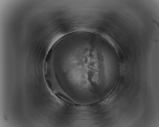 X0000092281048200710041407