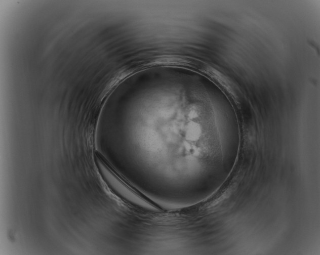 X0000092281049200710041407