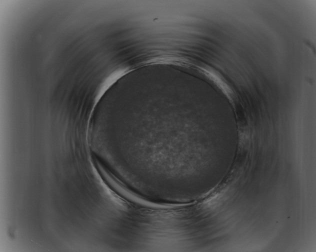 X0000092281050200710041407