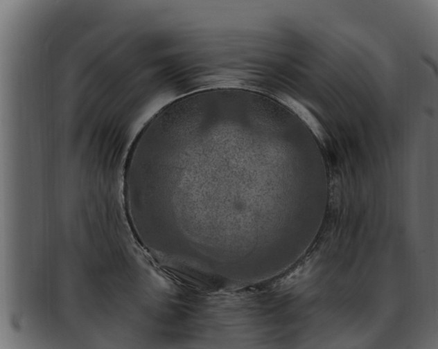 X0000092281051200710041407