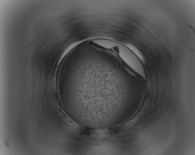 X0000092281052200710041407